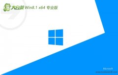 ײwin8.1ϵ콢64λv2025.01⼤