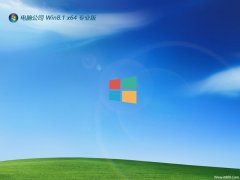 Թ˾⼤win8.1 64λϵԱ׼v2025.01