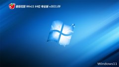 ѻ԰Windows11 Ƽװ64λ 2021.09